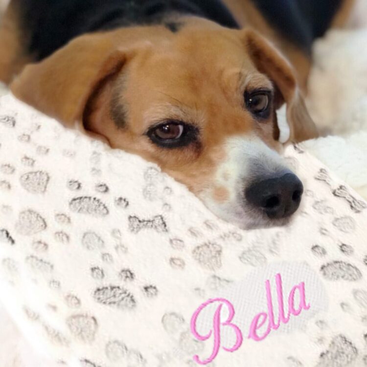 Lemmikin viltti kirjailulla